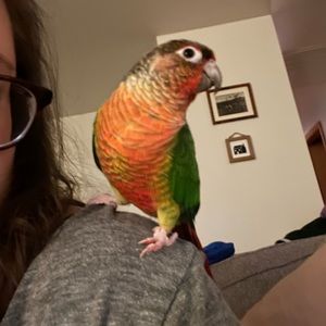 Meet your Posher, Kate
